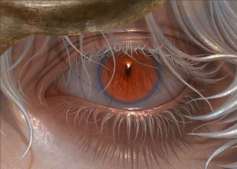 Aesthetic Eyes, Arte Inspo, Arte Fantasy, Ethereal Art, Anime Eyes, Pretty Eyes, Eye Art, White Hair, Art Reference Photos