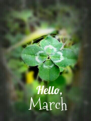 Monthly Greetings, April Wallpaper Aesthetic, Happy Birthday Barbara, Spring Wallpaper Iphone, Hello Tomorrow, Aesthetic Spring Wallpaper, March Wallpaper, Wallpaper April, April Aesthetic