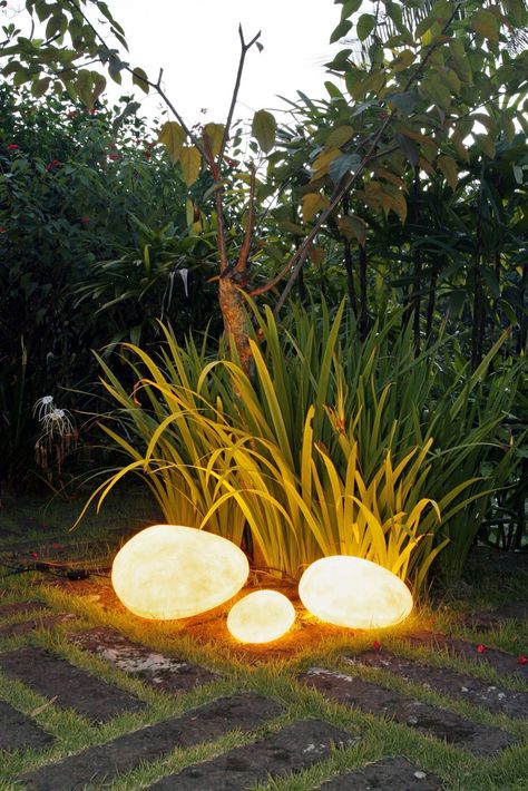 Top 30 Outdoor Lighting Landscape Designs for Magical Evenings Mum Flowers, Lighting Landscape, Garden Mum, Stone Lamp, Flowers Growing, Mums Flowers, Outdoor Lighting Landscape, Low Light Plants, Growing Tips