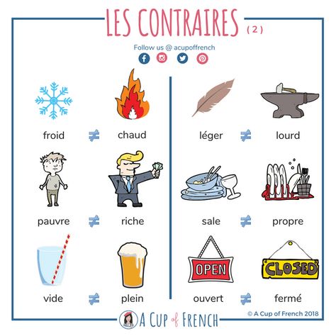 Learn a few opposites in French (2) French Adjectives, French Basics, French Flashcards, Basic French Words, Study French, French Worksheets, French Teaching Resources, French For Beginners, French Language Lessons