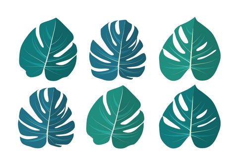 Monstera leaf isolated on white background. Vector Illustration Monstera Leaf, Vector Art, Plant Leaves, White Background, Vector Free, Vector Illustration, This Is Us, Cricut, Clip Art