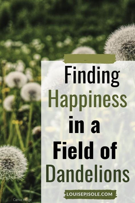 Finding Happiness in a Field of Dandelions | Inspiration Dandelion Quotes Inspiration, Dandelion Wishes Brought To You, Make A Wish Dandelion Art, Intentional Living Quotes, Some See A Wish Dandelions, Levels Of Consciousness, Dandelion Wish, Finding Happiness, Wayne Dyer