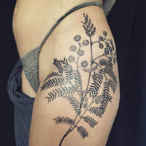 Mimosa Flower Tattoo, Tree Tattoo Meaning, Tattoo Japan, Irezumi Tattoo, Cute Thigh Tattoos, Simple Tattoos For Women, Flower Tattoo Meanings, Literary Tattoos, Mimosa Flower