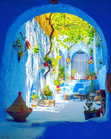 Blue City Morocco, Chefchaouen Morocco, Desert Tour, Hawaii Luau, Morocco Travel, Jules Verne, Blue City, Camping Experience, Travel Bucket