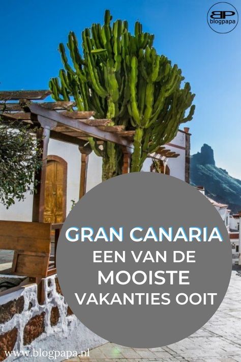 Lees hier mijn tips en ervaringen met de Canarische Eilanden, opgedaan tijdens een super te gekke vakantie op Gran Canaria. Gran Canaria is een prachtig eiland dat geschikt is voor gezinnen en volwassenen. #grancanaria #vakantie Grand Canaria, Mama Blog, Santa Lucia, Spain Travel, Enjoy Life, Valencia, Pergola, Things To Do, Places To Visit