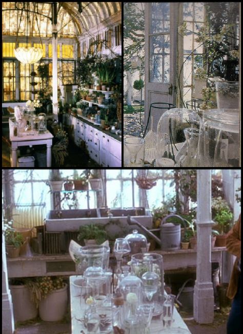 Practical Magic conservatory compilation                                                                                                                                                                                 More Victorian Greenhouse Conservatory Practical Magic, Practical Magic Conservatory, Practical Magic Apothecary, Practical Magic Greenhouse, Practical Magic Kitchen Inspiration, Practical Magic Bedroom, Practical Magic Wedding, Practical Magic Decor Inspiration, Practical Magic House Aesthetic