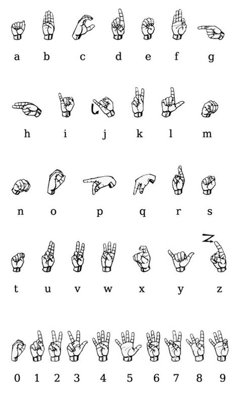 Sign Language Chart, Bahasa China, Materi Bahasa Jepang, Sign Language Words, Asl Learning, Alphabet Code, Asl Sign Language, Sign Language Alphabet, Asl Signs