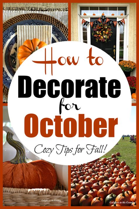 collage of pumpkins and fall decorating Pumpkin Spice Decorations, October Decorating Ideas, October Decor, October Aesthetic, September School, Halloween Table Settings, October Decorations, Pumpkin Spiced Latte, Fall Party Decorations