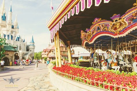 Lovely!! Shoot Concept, Concept Photography, Got Engaged, Engagement Shoot, Magic Kingdom, Carousel, Orlando, Boston, Disney