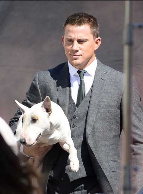 Channing Tatum and a Bully. Staffy Bull Terrier, Bull Terrier Funny, Bull Terrier Art, Mini Bull Terriers, Celebrity Dogs, Celebrity Pics, English Bull Terriers, Terrier Puppy, Bull Terriers