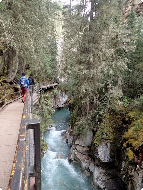 Johnson Canyon Banff, Banff Town, Vancouver Hiking, Hiking In The Rain, Travel To Canada, Banff National Park Canada, Johnston Canyon, Rv Trips, Canada Photography