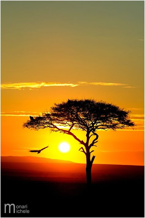 _DSC8252 | Michele Monari | Flickr Natural Wallpaper, African Sunset, Belle Nature, Image Nature, Lone Tree, Sky Landscape, Orange Sky, Airbrush Art, Sunset Painting