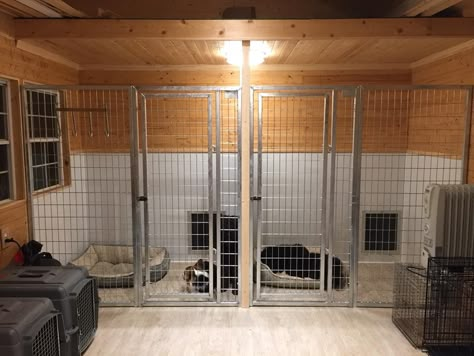 Dog Kennels And Runs Outdoor, Dog Run Connected To House, Dog Kennel Garage Ideas, Shed Kennel Ideas, Shed Dog Kennel Ideas, Dog Sheds Outdoor, Garage Kennel For Dogs, Indoor Dog Kennel Ideas For Large Dogs, Indoor Dog Run