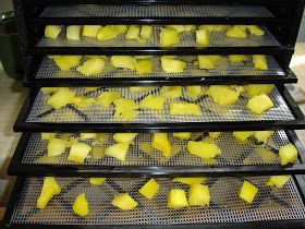 Dehydrate Mango, The Best Snacks, Best Snacks, Acorn Squash Recipes, Canning Vegetables, Good Roasts, Dehydrated Fruit, Freeze Drying Food, Dehydrated Food