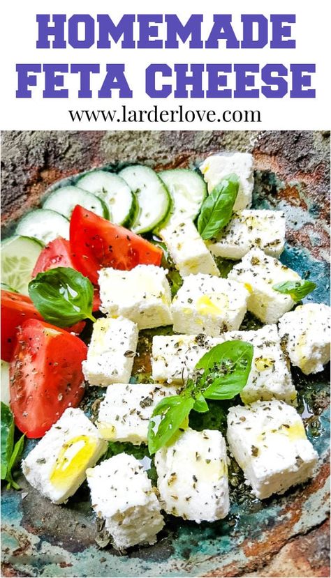 Homemade Feta Cheese, Homemade Feta, Dairy Substitutes, Yogurt Making, Cheese Recipes Homemade, Feta Cheese Recipes, Greek Cheese, Diy Cheese, Vegan Feta Cheese