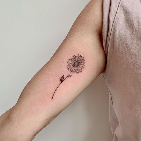 Astra Flower Tattoo, Black And White Aster Tattoo, Aster Flower Tattoo September, Aster Tattoos, Flower Outline Tattoo, Tattoos Trending, Aster Flower Tattoo, Aster Tattoo, Aster Flower Tattoos