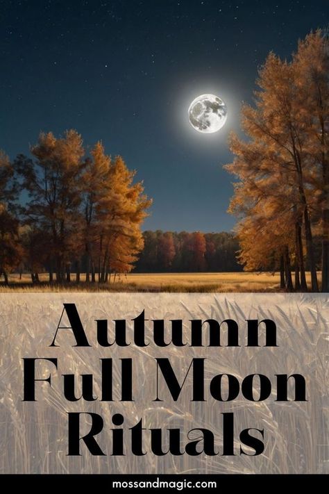 Autumn full moons, often referred to as Harvest Moon, Hunter’s Moon, and Frost Moon, bring powerful energies that can be harnessed for reflection, release, and renewal. Performing rituals during these full moons can help you align with the natural rhythms of the season and tap into their transformative power. Full Harvest Moon Spells, Full Harvest Moon Rituals, September Full Moon Ritual, Harvest Full Moon Ritual, Harvest Moon Ritual, Autumn Full Moon, Release Ritual, Harvest Full Moon, Moon Poems