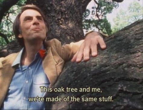 Monday Morning Quotes, This Is Your Life, Carl Sagan, It Goes On, Oak Tree, Pretty Words, Movie Quotes, Morning Quotes, A Tree