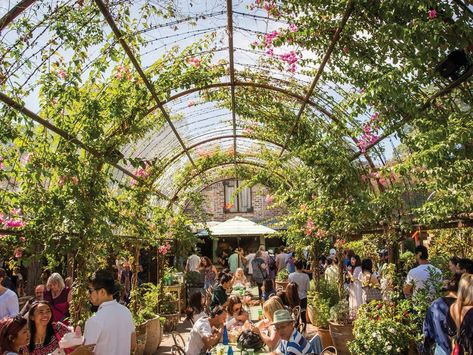 Sydney Cafe, The Grounds Of Alexandria, Vertical Farming, Sydney City, Outdoor Cafe, Instagrammable Places, In Season Produce, Cool Cafe, The Grove