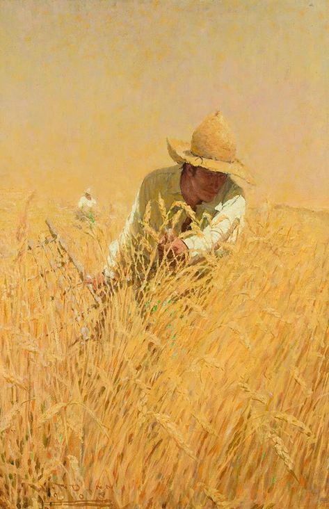 Harvesting the Wheat, Harvey Dunn, 1908 Nc Wyeth, N C Wyeth, Howard Pyle, Magazine Illustration, Wheat Field, Wheat Fields, Foto Art, Art Movement, Wheat