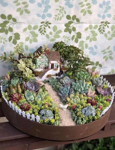 Gardening Shed, Gardening Essentials, Beginners Gardening, Kaktus Dan Sukulen, Basket Garden, Fairy Garden Pots, Indoor Fairy Gardens, Rose Gardening, Succulent Garden Design