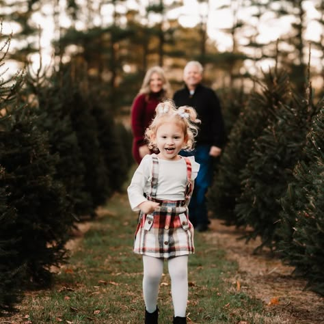 Christmas Tree Farm Minis (round 1) sneak peek! 🌲🌲 Tree Farm Christmas Photos, Christmas Tree Pics, Tree Farm Photography, Christmas Tree Farm Family Photos, Christmas Family Pics, Christmas Tree Farm Photoshoot, Tree Farm Photoshoot, Christmas Tree Photoshoot, Christmas Tree Farm Pictures