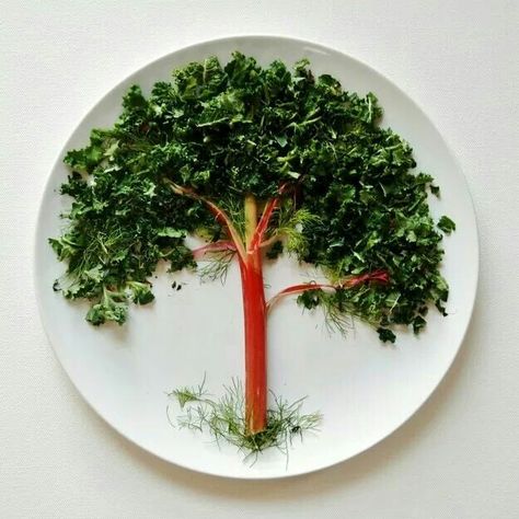 Tree Food Art Vegetable Arrangements, Design Cibo, Vegetable Design, Food Art For Kids, Food Artists, Creative Food Art, Food Rules, Edible Arrangements, Spaghetti Carbonara