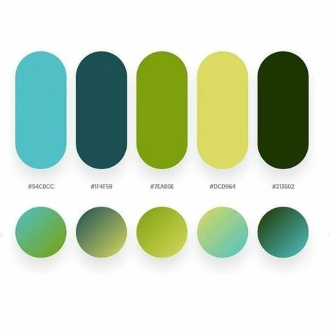 Colores Design Print Layout, Website Color Schemes, Massage Logo, Website Color Palette, Logo Design Set, Color Design Inspiration, Hex Color Palette, Colour Pallets, Good Color Combinations