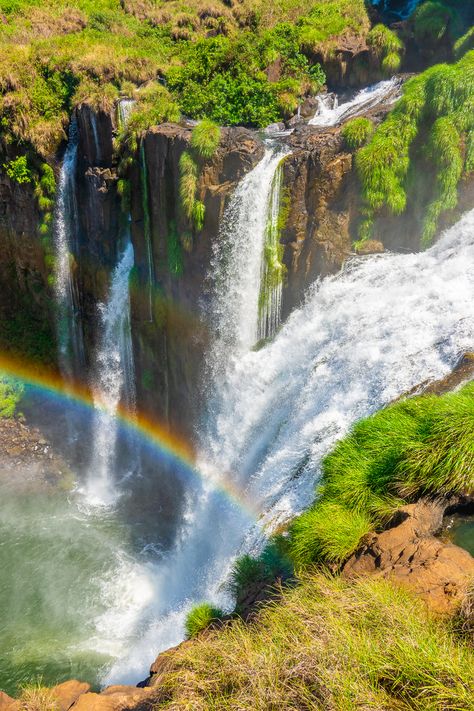 Iguazu Falls Brazil, Iguassu Falls, Brazil Nature, Brazil Aesthetic, Visit Brazil, Iguazu Falls, Largest Waterfall, Brazil Travel, Victoria Falls