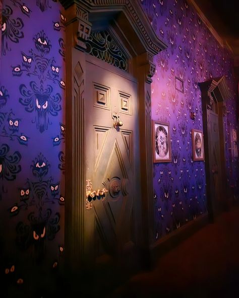 ThrillGeek | We recently got stopped on Haunted Mansion and got this really clear picture of one of our favorite parts; the wallpaper! So cool seeing… | Instagram Freddie Facilier, Haunted Mansion House, Haunted Mansion Aesthetic, Haunted Mansion Room, Never See Me Again, Haunted Mansion Decor, Haunted Mansion Ride, Haunted Mansion Disney, Tattoos Disney