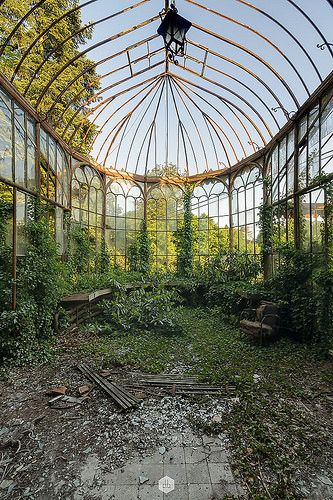 My Facebook I 500px | D's urbex | Flickr Abandoned Greenhouse, Victorian Greenhouses, Urban Exploring, Abandoned Mansions, Garden Photography, Photorealism, Green House, Abandoned Buildings, Art Color