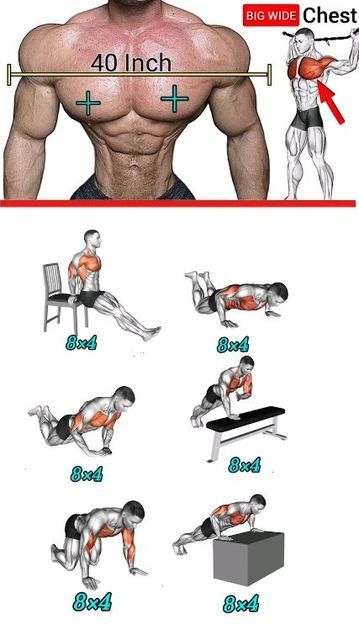 Exercise In Home, Best Abs Workout, Bodyweight Back Workout, Chest Workout At Home, Chest Workout For Men, Gym Workout Guide, Workout Program Gym, Latihan Dada, Bodybuilding Workouts Routines