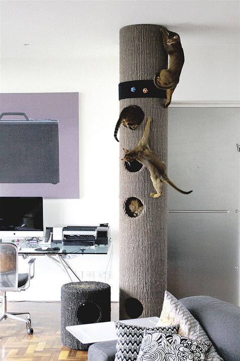 Hicat® | Made-to-Measure Cat Climbers & Bespoke Cat Furniture Luxury Cat Furniture, Cat Furniture Design, Cat Climber, Warrior Cats Books, Cat House Diy, Cat Playground, Luxury Cat, Cat Post, Cat S