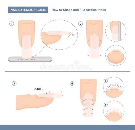 Nail Shaping Tutorial Step By Step, How To Shape Nails Step By Step, Instruction Illustration, Nails Step By Step, Nail Shapes Squoval, Nail Tech School, Manicure Tutorials, Nail Courses, Acrylic Nail Shapes