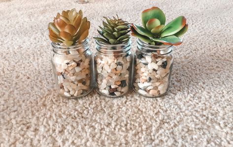 Rocks In Jars Decor, Mini Mason Jar Ideas, Jar Plants, Mason Jar Plants, Mason Jar Terrarium, Jar Terrarium, Mini Mason Jar, Plants In Jars, Mini Mason Jars