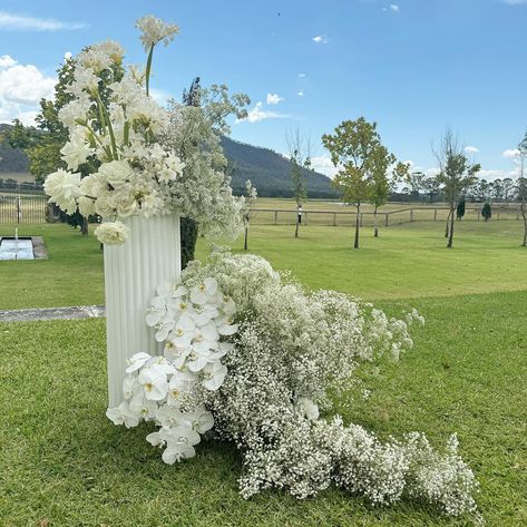 Bella donna and babies breath = match made in heaven 🤍✨ Baby's Breath Wedding Flowers, Wedding Flowers Colors, Gypsophila Wedding, Table Garland, Colorful Wedding Flowers, Wedding Lounge, Wedding Backdrop Decorations, Babies Breath, Green Flooring