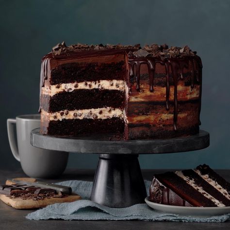 Three-Layer Chocolate Ganache Cake Chocolate Ganache Cake Recipe, Fall Birthday Cakes, Succulent Cake, Chocolate Ganache Cake, Ganache Cake, Decadent Chocolate Desserts, Torte Cupcake, Double Chocolate Cookies, Decadent Chocolate Cake