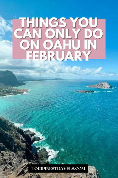 Oahu in February: Things you can only do this month! Outfits For Hawaii In February, Oahu Vacation Outfits, What To Wear In Hawaii In February, Oahu Outfits, Hawaii In February, Schofield Barracks Hawaii, Disney Resort Hawaii, Makua Beach, Things To Do On Oahu