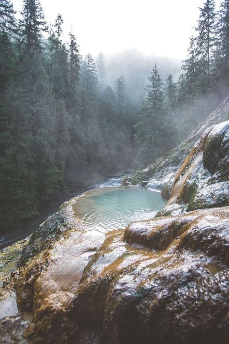 25 Amazing Hot Springs in the US You Must Soak In Hot Springs In Oregon, Umpqua Hot Springs Oregon, Best Hot Springs In The World, Best Hot Springs In The Us, Hot Springs Usa, Hot Springs In The Us, Proposal Places, Hot Springs Oregon, Oregon Hot Springs