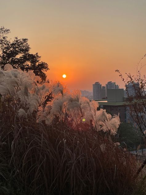 Seoul Aesthetic, Peaceful Sunset, Nature Photography Quotes, Photography Quotes, Quotes About Photography, Aesthetic Nature, Sunset Aesthetic, Brown Aesthetic, Nature Aesthetic