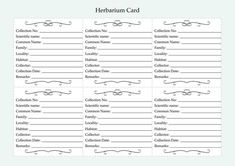 Herbarium label sheet. Plant identification template. Collection and preservation of plant materials. Vector Herbarium Sheet Projects, Herbarium Sheet, Walker Wallpaper, Youtube Banner, Plant Identification, Logo Banners, Cityscape Photos, Presentation Slides, Nature Backgrounds