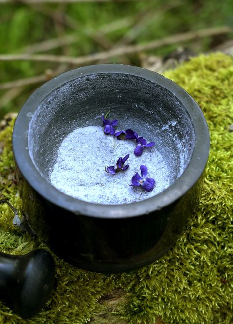 Violet Flowers Sugar by Piotr Ciemny | CREME: Step-by-Step Video Recipes Flowers To Make, Violet Flowers, Video Recipes, Violet Flower, Edible Flowers, I Will Show You, Be Prepared, Wild Roses, The Flowers