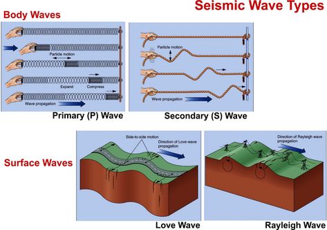 Seismic Wave Types Longitudinal Wave, Earth Science Lessons, Types Of Waves, Seismic Wave, P Wave, Parts Of The Earth, S Wave, Shock Wave, Science Fair Projects