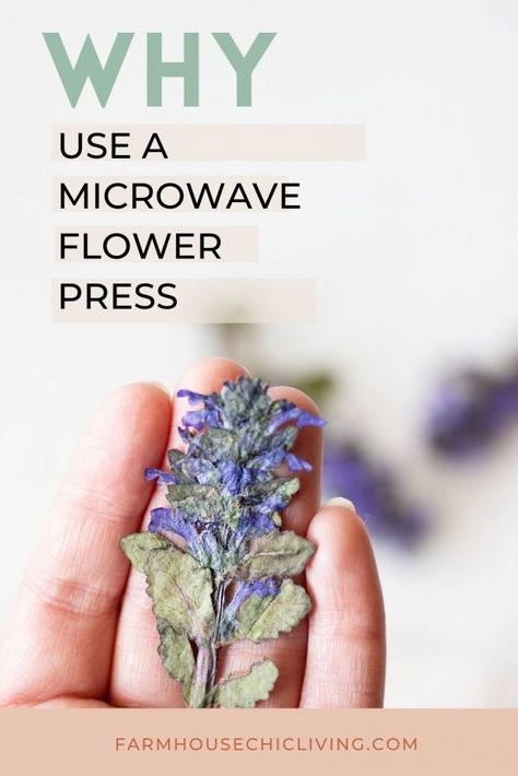 How to Use a Microwave Flower Press to Dry Flowers Quickly How To Press Fresh Flowers, Microwave Flowers, How To Dry Out Flowers, Perserving Flowers, Microwave Flower Press, Flower Drying, Pressed Flowers Diy, Flower Petal Art, Drying Flowers