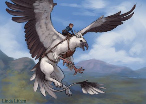 Gryphon Rider, Creature Drawings, Fantasy Creatures Art, Mythical Creatures Art, Mythological Creatures, Creature Concept Art, Animal Sketches, Fantasy Warrior, Creature Concept