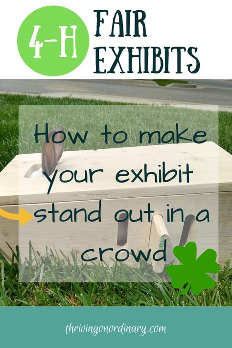 Fair Decorations, 4h Decorations For Fair, Pig Poster Ideas For Fair, National 4-h Week Ideas, 4h Educational Display Ideas, 4h Horse Poster Ideas, 4h Rabbit Poster Ideas, 4 H Poster Ideas, 4h Projects