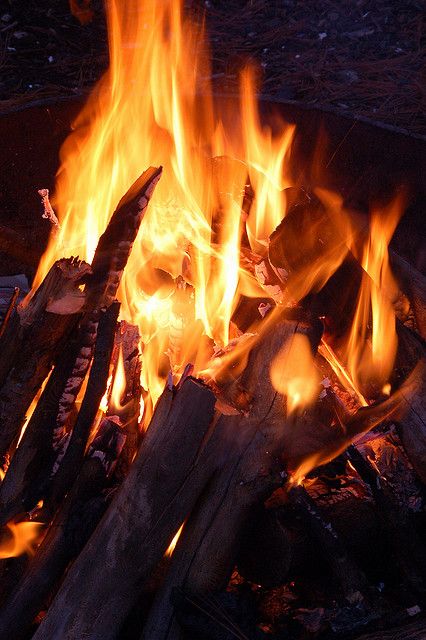 ♪♪ Fires burning, fires burning, draw nearer ♪♪ Cozy Campfire, Fire Image, Fire Photography, Fire Element, Light My Fire, Fire Glass, Fire And Ice, Bushcraft, The Fire