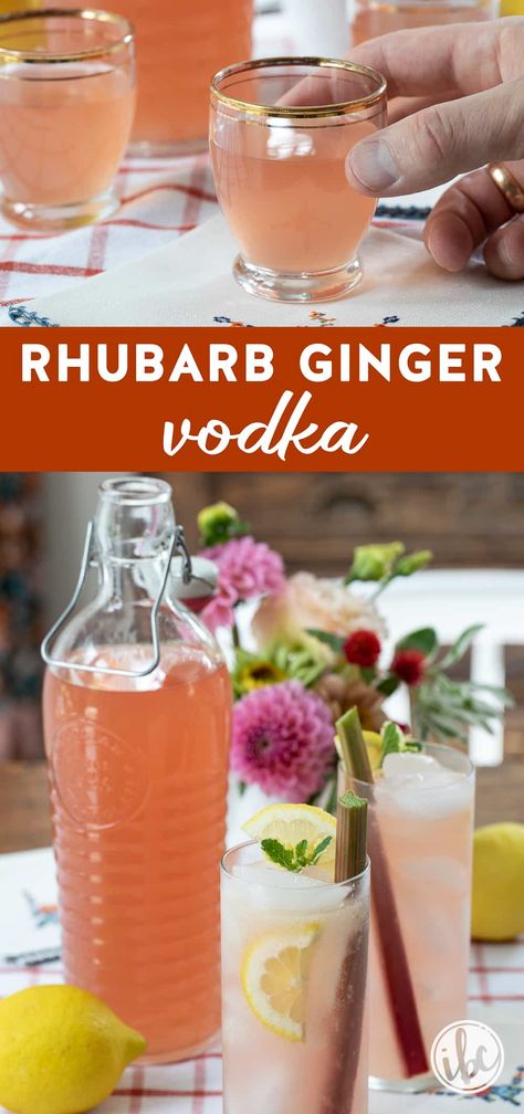 Create your signature liqueur with this Rhubarb Ginger Vodka recipe. The simple infusion process requires just a few ingredients and a bit of patience for a beautifully flavored vodka. Perfect for entertaining, this vodka can be enjoyed on its own or used to craft elegant cocktails. Rhubarb Liqueur Recipes, Rhubarb Vodka, Elegant Cocktails, Milk Tea Recipes, Homemade Liquor, Liqueurs Recipes, Vodka Recipes, Infused Vodka, Bread Appetizers