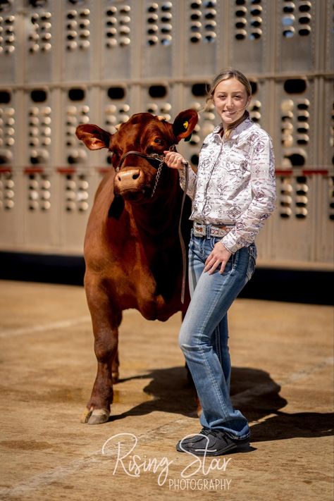 Farm Senior Pictures, Cattle Barn, Country Senior Pictures, Show Cattle, Beef Cattle, Picture Letters, Sports Pictures, Senior Session, Home Pictures