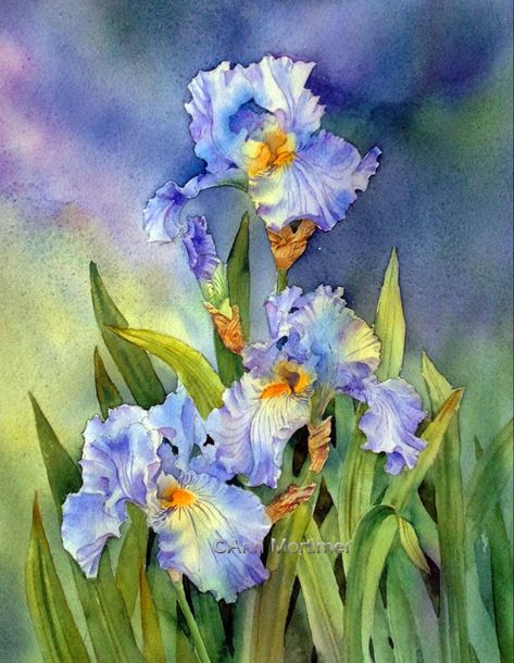 Ann Mortimer, Watercolor Irises, Iris Painting, Watercolor Flowers Tutorial, Floral Watercolor Paintings, Chinese Brush, Loose Watercolor, Brush Painting, Iris Flowers